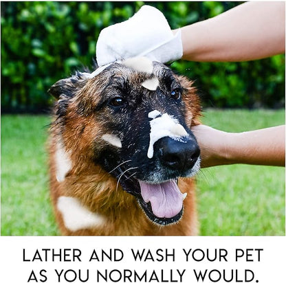 No Rinse Pet Wipes, Rinse Free Shampoo Mittens for Dogs and Cats, Bath Wipes for Bathing and Washing Pets, Hypoallergenic No Rinse Wash Mitt for Grooming, Lather Wipe Dry - 10 Pack