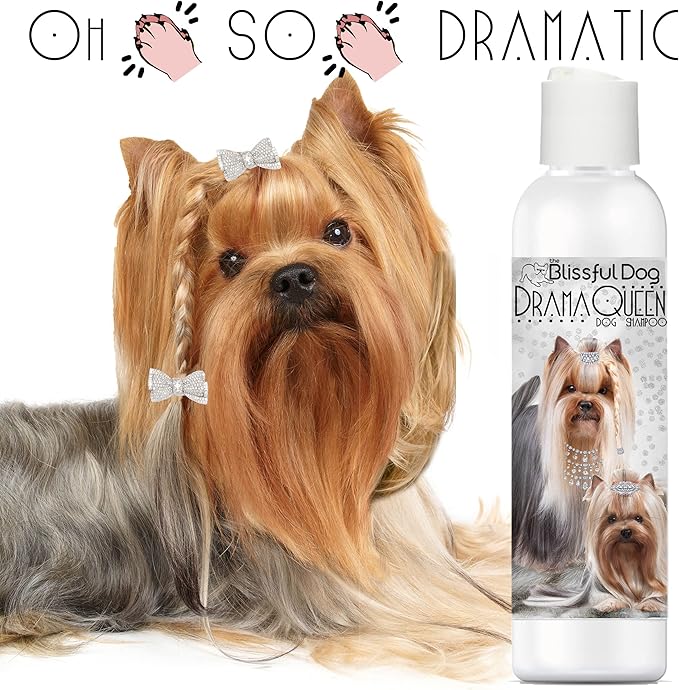 The Blissful Dog Drama Queen Luxury Dog Shampoo - Yorkshire Terrier, Nourishing Pet Supplies, Dog Grooming Supplies for Soft, Silky, Shiny Coat, Moisturizing Puppy Shampoo, 8 oz.