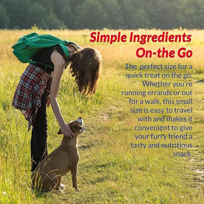 INABA Churu Meal Topper for Dogs, Complete & Balance, Creamy, Lickable Purée Dog Food Topper, 0.5 Ounce Tube, 24 Tubes (4 per Pack), Chicken with Salmon Recipe