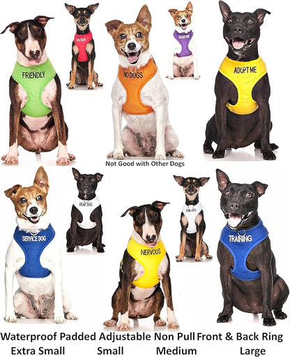 Deaf Dog (Dog Has Limited/No Hearing) White Colour Coded Non-Pull Front and Back D Ring Padded and Waterproof Vest Dog Harness Prevents Accidents by Warning Others of Your Dog in Advance (L)