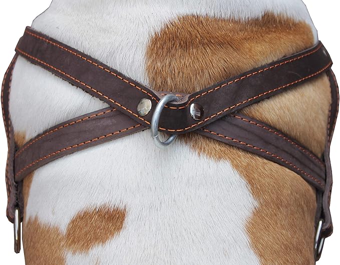 Brown Leather Dog Pulling Walking Harness Large. 31"-35" Chest, 1.5" Wide Straps
