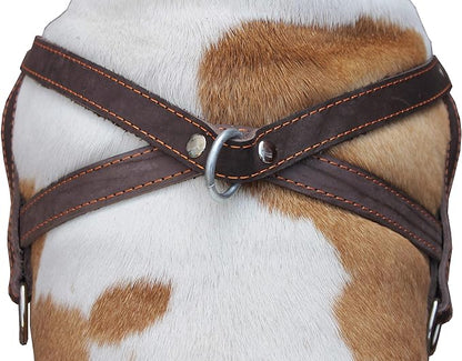 Brown Leather Dog Pulling Walking Harness Large. 31"-35" Chest, 1.5" Wide Straps