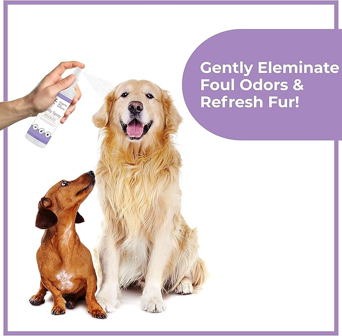 Dog Perfume Spray Long Lasting - Pet Odor Eliminator - Dog Cologne Spray - Premium Dog Deodorant Spray for Smelly Dogs - Refreshing Dog Deodorizer Spray for Grooming…
