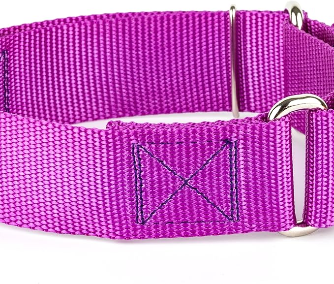 Country Brook Petz - Vibrant 18 Color Selection - 1 1/2 Inch Martingale Heavyduty Nylon Dog Collar (Extra Large, Bright Purple)