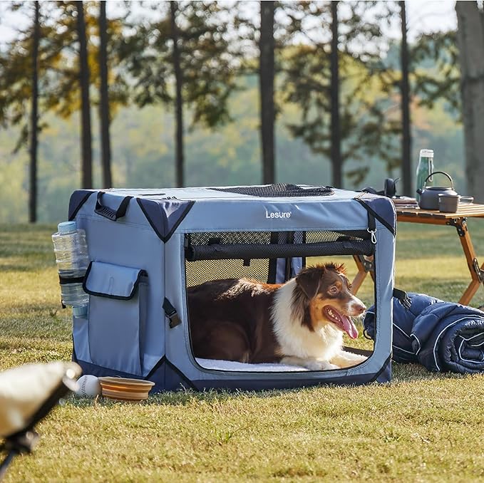 Lesure Collapsible Dog Crate - Portable Travel Kennel for Medium Dog, 4-Door Pet Crate with Durable Mesh Windows, Indoor & Outdoor, Blue