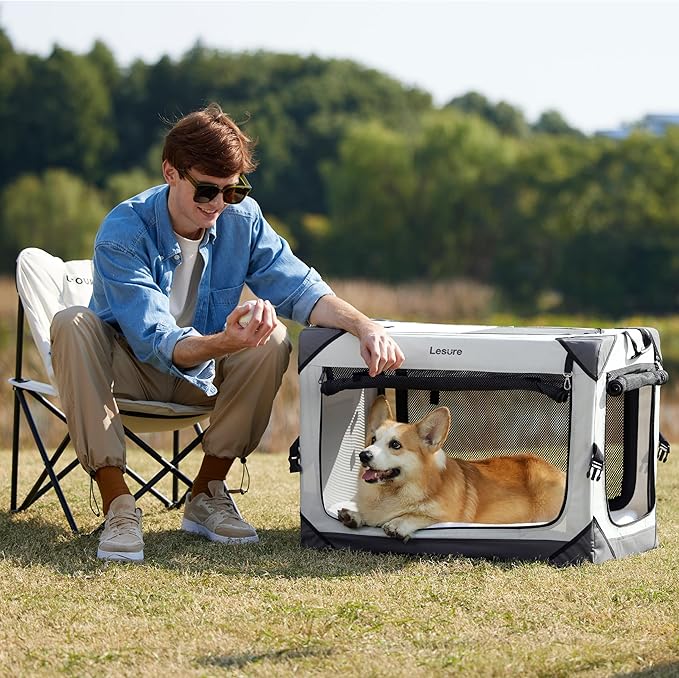 Lesure Collapsible Dog Crate - Portable Travel Kennel for Small Dog, 4-Door Pet Crate with Durable Mesh Windows, Indoor & Outdoor, Light Gray