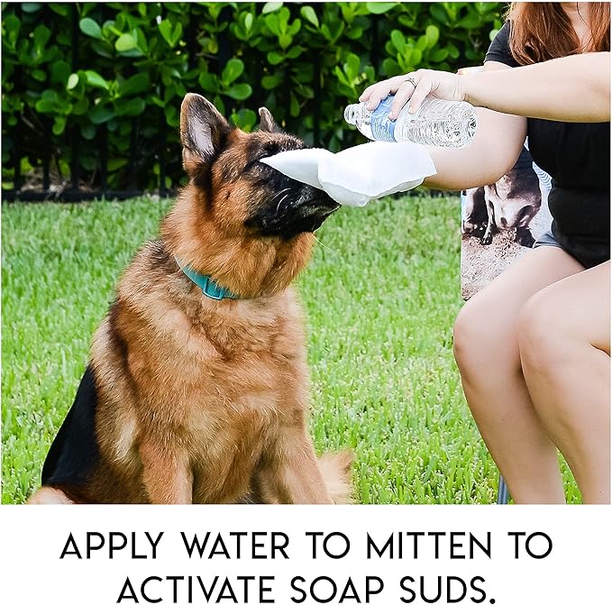 No Rinse Pet Wipes, Rinse Free Shampoo Mittens for Dogs and Cats, Bath Wipes for Bathing and Washing Pets, Hypoallergenic No Rinse Wash Mitt for Grooming, Lather Wipe Dry - 10 Pack