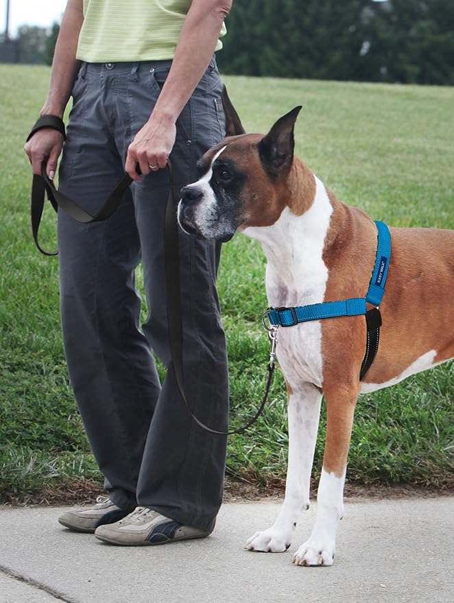 PetSafe Easy Walk Deluxe Dog Harness, No Pull Dog Harness – Perfect for Leash & Harness Training – Stops Pets from Pulling and Choking on Walks – Small, Ocean