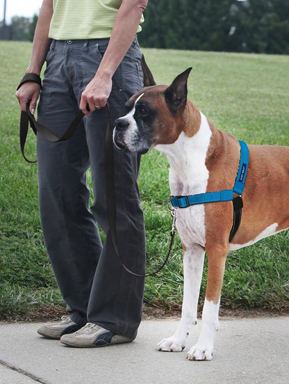 PetSafe Easy Walk Deluxe Dog Harness, No Pull Dog Harness – Perfect for Leash & Harness Training – Stops Pets from Pulling and Choking on Walks – Small, Ocean