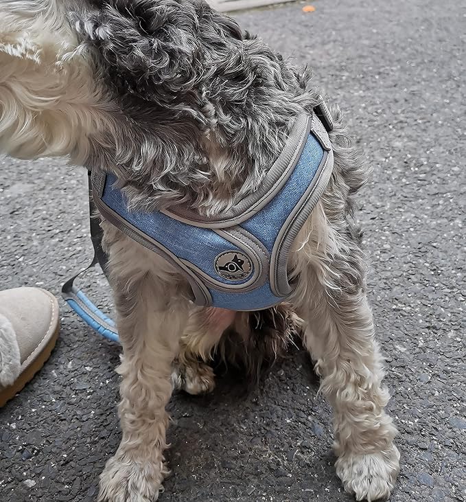 Step-in Dog Harness, Adjustable Reflective Small Dog Harness and Leash Set, Soft Air Mesh Vest Kit for Small Medium Breed Puppy and Cats (XS, Blue)