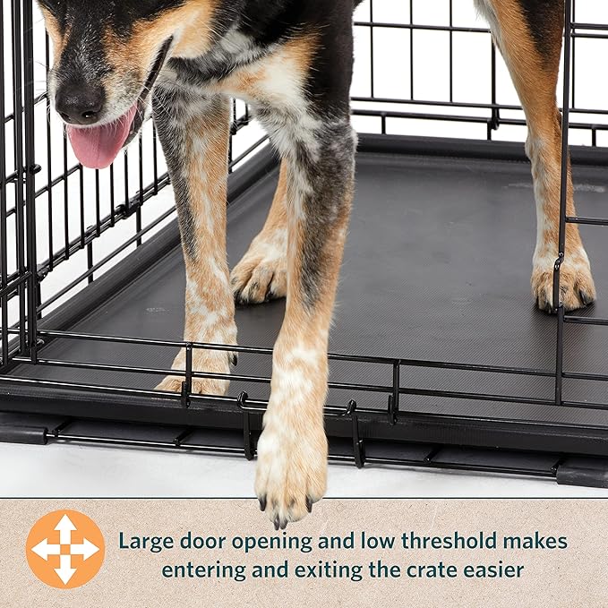 MidWest Homes for Pets Small Dog Crate | Midwest Life Stages 24' Folding Metal Dog Crate | Divider Panel, Floor Protecting Feet, Leak-Proof Dog Pan | 24L x 18W x 19H Inches, Small Dog Breed