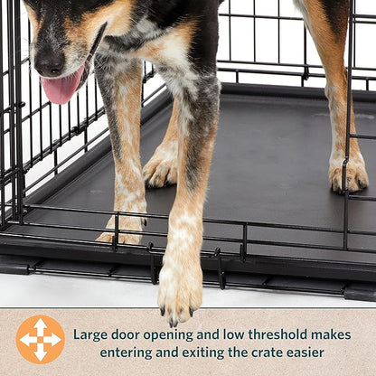 MidWest Homes for Pets Small Dog Crate | Midwest Life Stages 24' Folding Metal Dog Crate | Divider Panel, Floor Protecting Feet, Leak-Proof Dog Pan | 24L x 18W x 19H Inches, Small Dog Breed