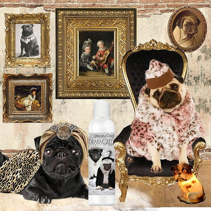 The Blissful Dog Pug Drama Queen Dog Shampoo, 8 oz.