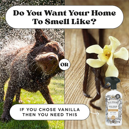 Pet-Pourri Pet Odor Air + Fabric Odor Eliminator Spray, Canine Coconut, 16 Fl Oz