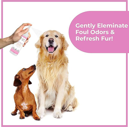 Dog Perfume Spray Long Lasting - Pet Odor Eliminator - Dog Cologne Spray - Premium Dog Deodorant Spray for Smelly Dogs - Refreshing Dog Deodorizer Spray for Grooming…