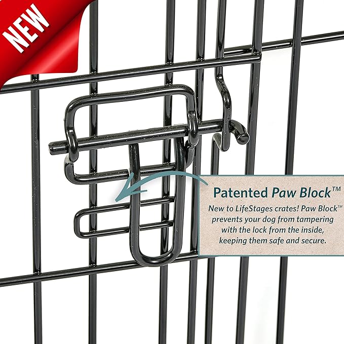 MidWest Homes for Pets Small Dog Crate | Midwest Life Stages 24' Folding Metal Dog Crate | Divider Panel, Floor Protecting Feet, Leak-Proof Dog Pan | 24L x 18W x 19H Inches, Small Dog Breed
