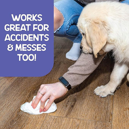 TMD Healthcare WETPET Wipes for Dogs, Lemon Scented, Grooming Wipes Remove Dirt & Grime, Deodorizing Easy to Use for Dogs & Puppies, Safe on Skin and Fur Single Pack