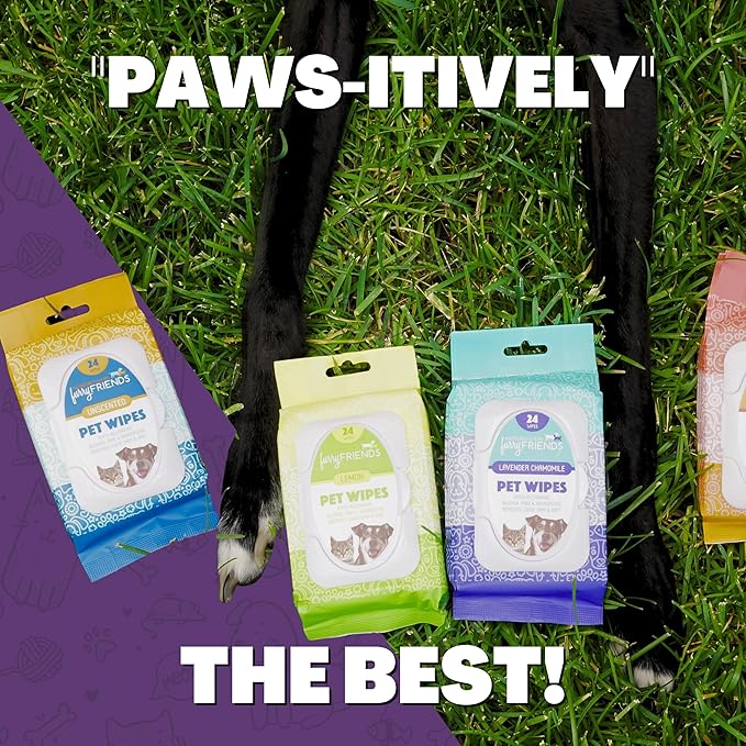 FurryFriends Pet Wipes | BlackBerry | Hypo-allergenic | Alcohol Free| Deodorizing | Removes Loose Hair & Dirt | Incredibly Clean | 100 ct. 2 Pack