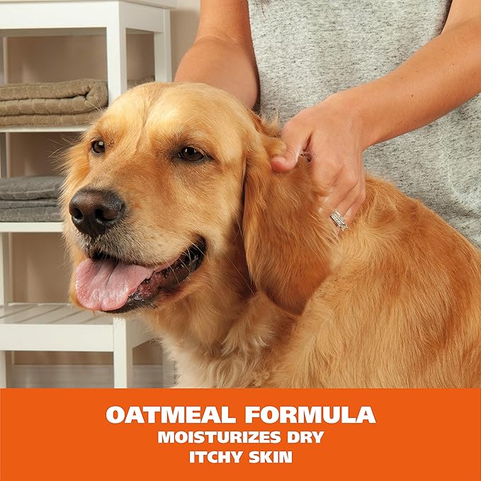 Wahl USA Pet Friendly Waterless No Rinse Shampoo for Animals – Oatmeal & Coconut Lime Verbena for Cleaning, Conditioning, Detangling & Moisturizing Dogs, & Cats – 7.1 Oz - Model 820015A