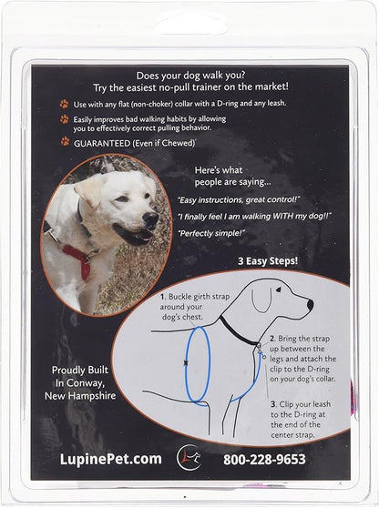 LupinePet Originals 3/4" Puppy Love 16-26" No Pull Harness for Small-Medium Dogs