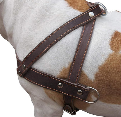 Brown Leather Dog Pulling Walking Harness Large. 31"-35" Chest, 1.5" Wide Straps