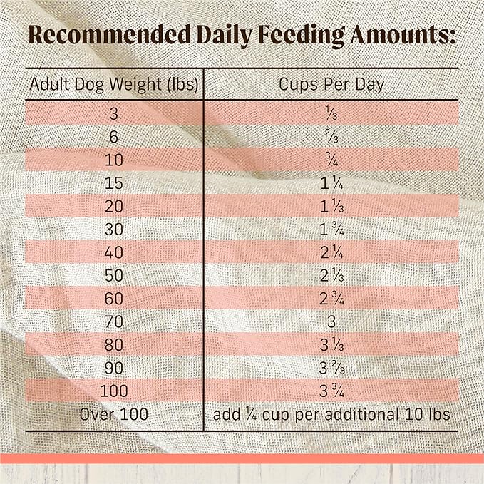 Merrick Healthy Grains Freeze Dried Raw Coated Kibble, Natural High Protein Dog Food, Salmon and Brown Rice - 10.0 lb. Bag