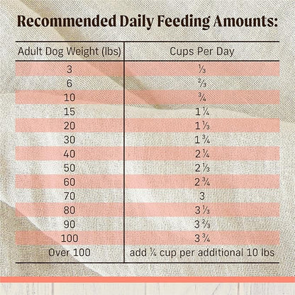 Merrick Healthy Grains Freeze Dried Raw Coated Kibble, Natural High Protein Dog Food, Salmon and Brown Rice - 10.0 lb. Bag