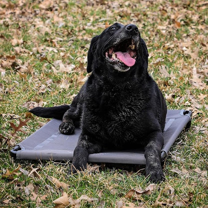 Momarsh Low Profile Dog Cot for Kennels, Crates, Boats & Layout Binds | Comfortable Low Profile Platform & Frame Fits in Most Medium Kennels