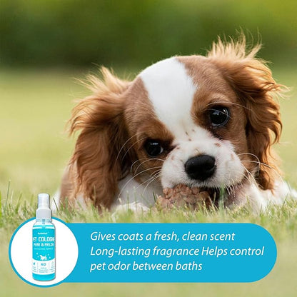 Pet Cologne, Pear & Melon Scent, Deodorize & Refresh, For Dogs, Cats, Puppies, 3.38 fl.oz (Sweet Melon & Pear)