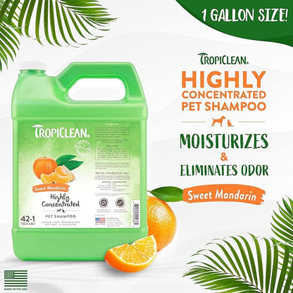 TropiClean High Concentrate Dog Shampoo, Professional Grade & Size for Groomers, 42:1 Dilution, Puppy Safe, USA Made, Sweet Mandarin Scent, 1 Gallon