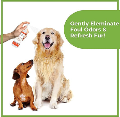 blogging dog products Pet Deodorizer Odor Eliminator Perfume for Dogs and Cats, Non-Toxic Pet Cologne Spray for Dogs, Long Lasting Dog Spray Deodorizer Perfume, Cat Cologne for Indoor Cats
