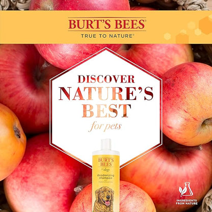 Burt's Bees for Pets Deodorizing Dog Shampoo with Apple and Rosemary, 95% Natural Origin Formulas, Dog Deodorizing Shampoo - Gentle Dog Shampoo, Best Dog Shampoo for Smelly Dogs, 32 oz