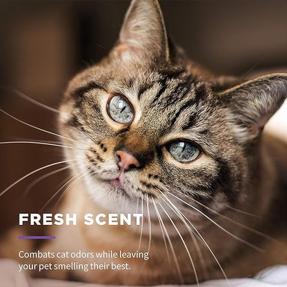 Wet Ones for Pets Freshening Multipurpose Wipes for Cats with Aloe Vera | Easy to Use Cat Cleaning Wipes, Freshening Cat Grooming Wipes for Pet Grooming in Fresh Scent (Pack of 1,100 Count Total)
