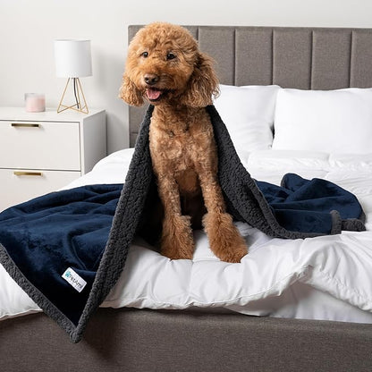 PetAmi Waterproof Dog Blanket for Medium Large Dog, Pet Puppy Blanket Couch Cover Protection, Sherpa Fleece Cat Blanket, Sofa Bed Furniture Protector Reversible Soft Plush Washable, 60x40 Navy Gray
