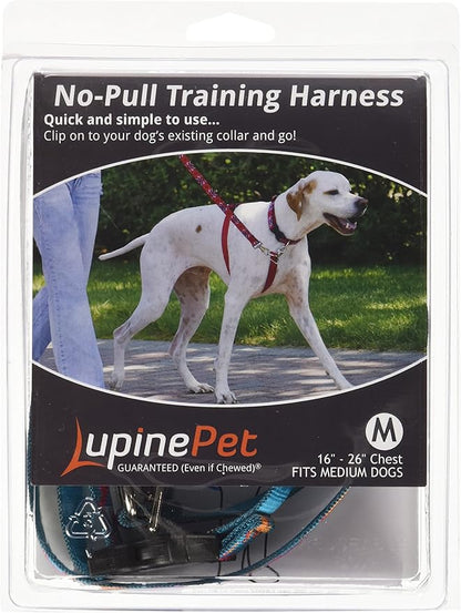 LupinePet Originals 3/4" Wet Paint 16-26" No Pull Harness for Small-Medium Dogs