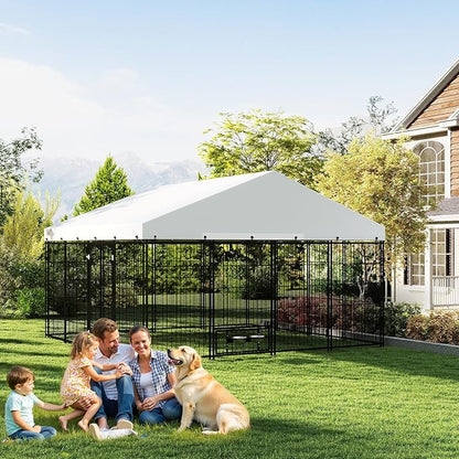 Outdoor Large Dog Kennel - 10 x 10 Covered Dog Kennels with Feeding Door and Double Lock, Welded Wire Dog Kennel, XL Outside Dog Cage for Large Dogs