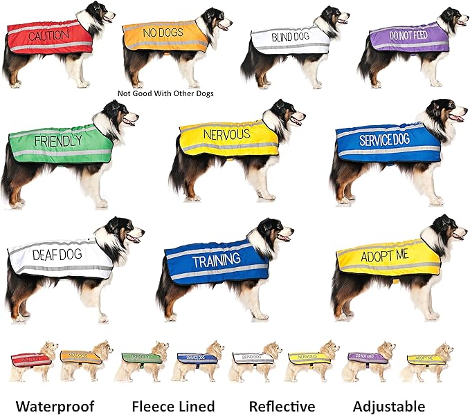 FRIENDLY (Known as Friendly to all) Green Color Coded Non-Pull Front and Back D Ring Padded and Waterproof Vest Dog Harness PREVENTS Accidents By Warning Others Of Your Dog In Advance (L)