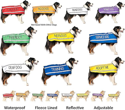 FRIENDLY (Known as Friendly to all) Green Color Coded Non-Pull Front and Back D Ring Padded and Waterproof Vest Dog Harness PREVENTS Accidents By Warning Others Of Your Dog In Advance (L)