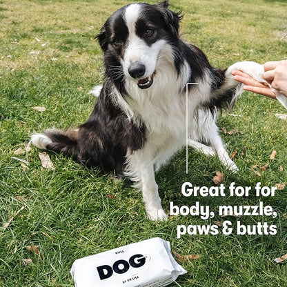 DOG by Dr. Lisa - Dog Wipes - Plant-Based, Natural Bathing Wipes for Dogs - Made from 100% Compostable Bamboo - Vet-Created - Vegan, Non-Toxic - 960 Count