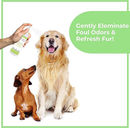 Dog Perfume Spray Long Lasting - Pet Odor Eliminator - Dog Cologne Spray - Premium Dog Deodorant Spray for Smelly Dogs - Refreshing Dog Deodorizer Spray for Grooming…