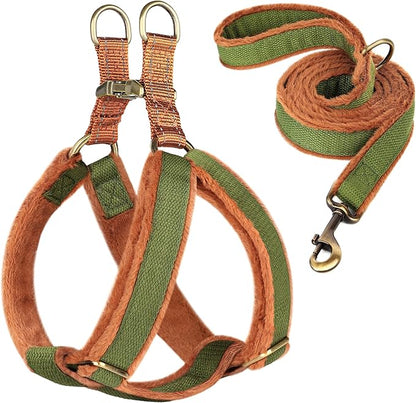 Beirui Soft Medium Dog Harness and Leash Set-Adjustable Step in Dog Harness for Medium Dogs-Easy Walk Dog Harness Medium Sized Dog-Warm No Pull Dog Harness and Leash Used in Autumn Winter(Green,M)