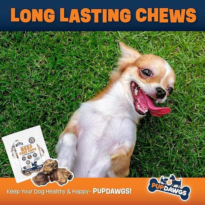Single Ingredient Dog Bone Made in USA - Beef Knee Caps - 100% Natural Dog Bones for Aggressive Chewers - from USDA Inspected Beef - Hickory Smoked - Individually Wrapped (3 Piece Pack)