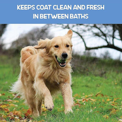 TMD Healthcare WETPET Wipes for Dogs, Lemon Scented, Grooming Wipes Remove Dirt & Grime, Deodorizing Easy to Use for Dogs & Puppies, Safe on Skin and Fur Single Pack