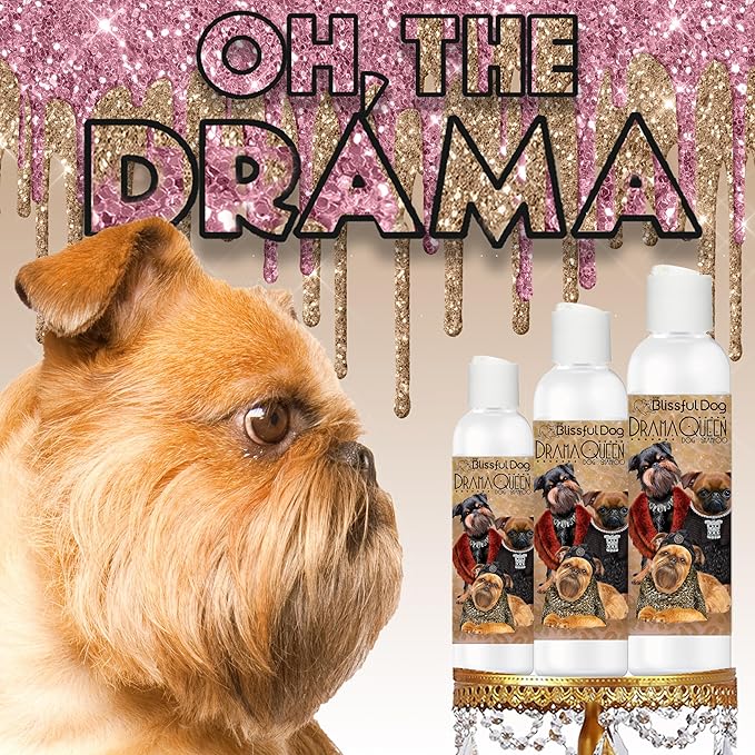 The Blissful Dog Brussels Griffon Drama Queen Dog Shampoo, 16 oz.