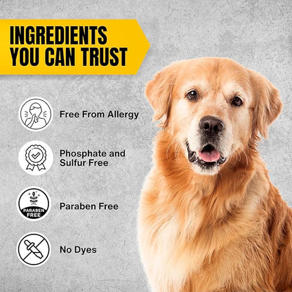 2-Pack Oatmeal Bath for Bissell Barkbath No Rinse Dog Shampoo - Natural & Waterless Dog Shampoo for Fresh & Clean Coat - Gentle Dog Dry Shampoo for Dogs - Alcohol Free Dog Wash Solution (20 Fl Oz)