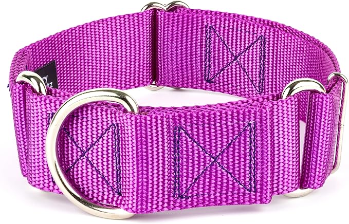 Country Brook Petz - Vibrant 18 Color Selection - 1 1/2 Inch Martingale Heavyduty Nylon Dog Collar (Large, Bright Purple)