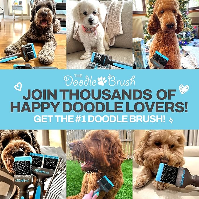 Doodle Brush for Dogs – Dog Brush for Doodle, Goldendoodle, Bernedoodle, Poodles – Flexible Head Dog Detangler for Dematting - Brushes for Doodles - Slicker Brushes for Grooming - Single Head