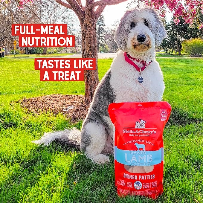 Stella & Chewy's Freeze Dried Raw Dinner Patties – Grain Free Dog Food, Protein Rich Dandy Lamb Recipe – 14 oz Bag