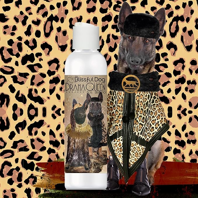 The Blissful Dog Belgian Malinois Drama Queen Shampoo, 8 oz.
