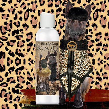 The Blissful Dog Belgian Malinois Drama Queen Shampoo, 8 oz.